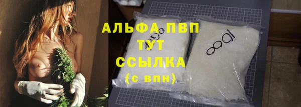 сатива Арсеньев
